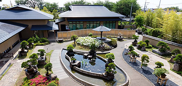 El Museo de Arte Omiya Bonsai, Saitama