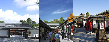 Callejón de los cerezos en flor de Kumamoto Castle Sakuranobaba Josaien