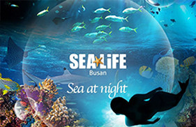 SEA LIFE 釜山水族馆