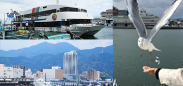 The Suruga Bay Ferry