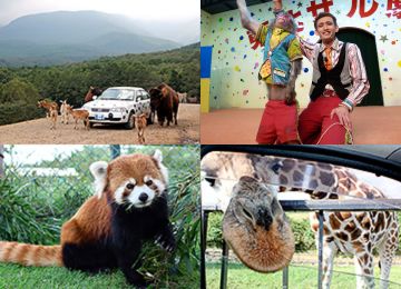 東北野生動物園